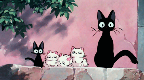 A special person in my life